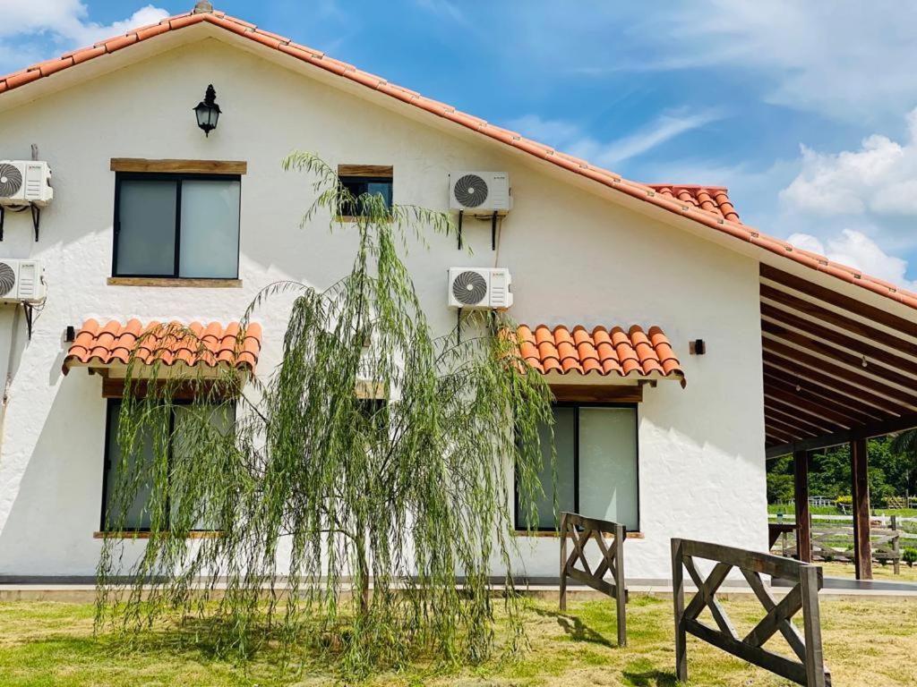Cabana Los Sauces En Buena Vista Santa Cruz מראה חיצוני תמונה